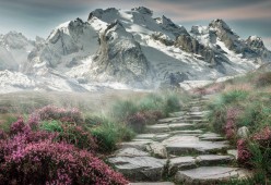 Dota2东南亚赛区选手直播自曝月薪 引起不同赛区薪资结构对比，dota2东南亚人数